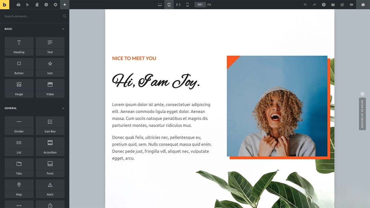 WordPress主题Bricks v1.9 破解版-浩旭的资源站