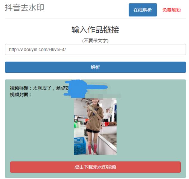 抖音在线去水印网站PHP源码-浩旭的资源站
