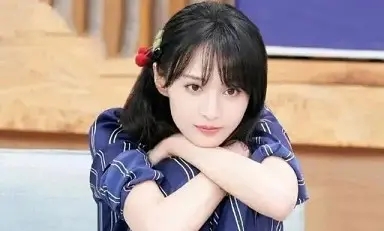 郑爽个人工作室微博被永久封禁-浩旭的资源站