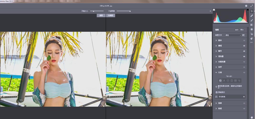 Adobe Camera Raw(RAW处理工具)v18.0.0中文版-浩旭的资源站