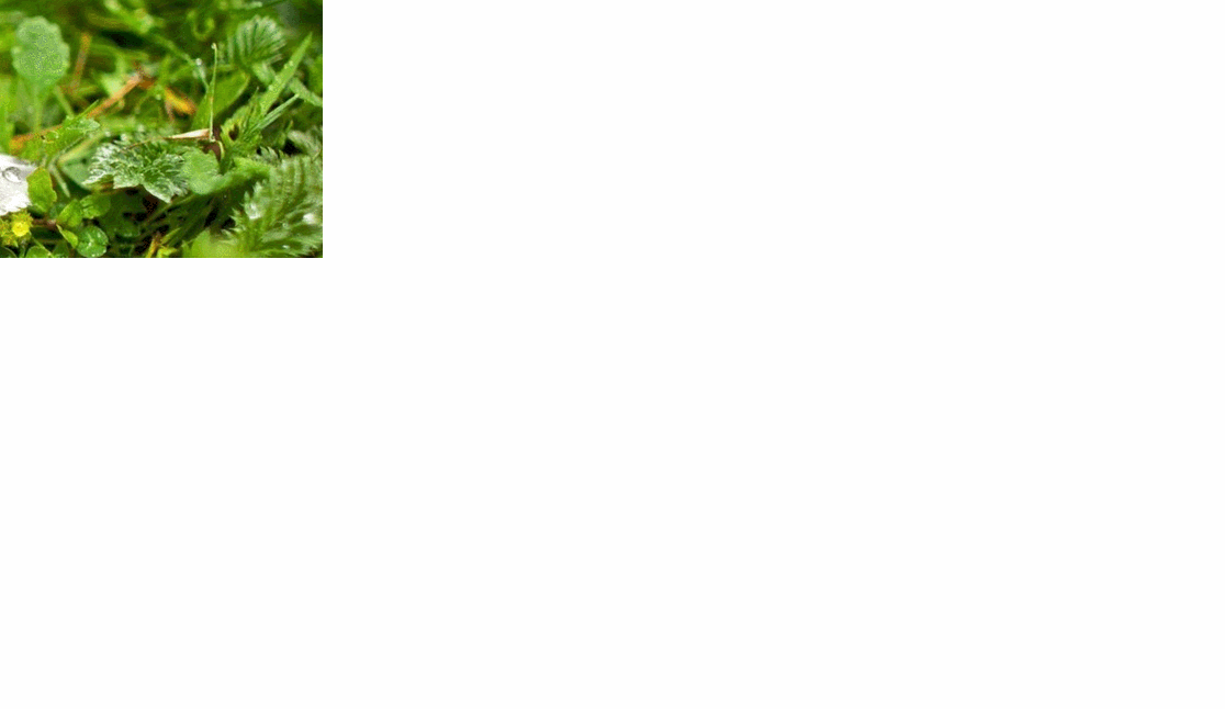 抖音热门很火的表白整蛊源码-浩旭的资源站