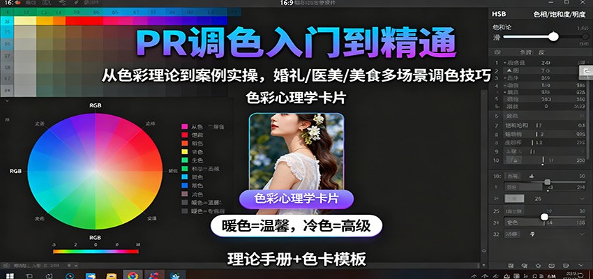 PR调色入门到精通：从色彩理论到案例实操，婚礼/医美/美食多场景调色技巧-浩旭的资源站